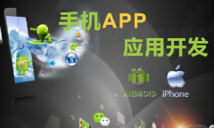 手機app開發(fā)11大步驟、技術(shù)人員、常用接口